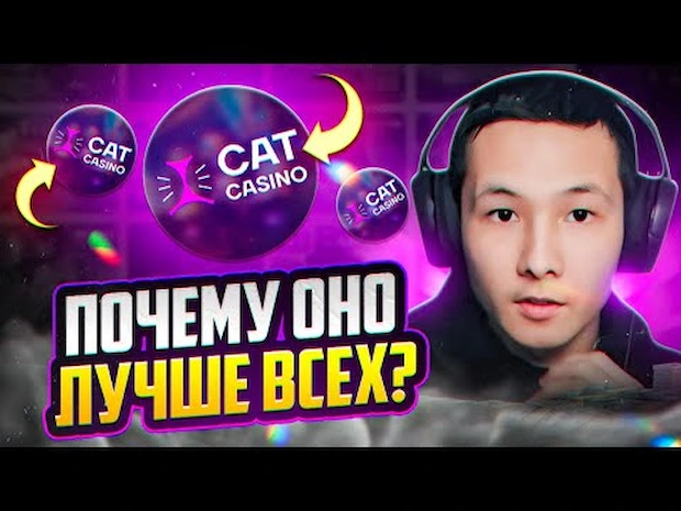 Почему мы выбираем cat casino казино