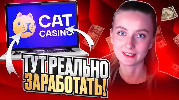 Почему мы выбираем cat casino казино