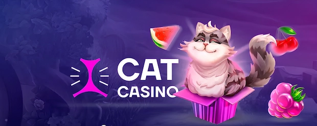 Почему мы выбираем cat casino казино