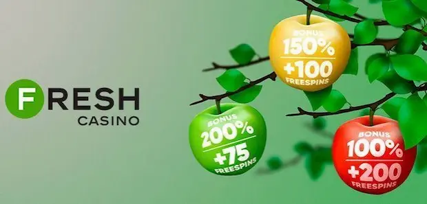 Почему мы выбираем fresh casino?