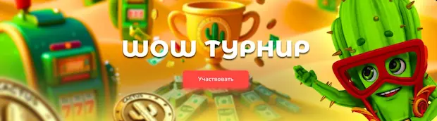 Почему мы выбираем Cactus казино?